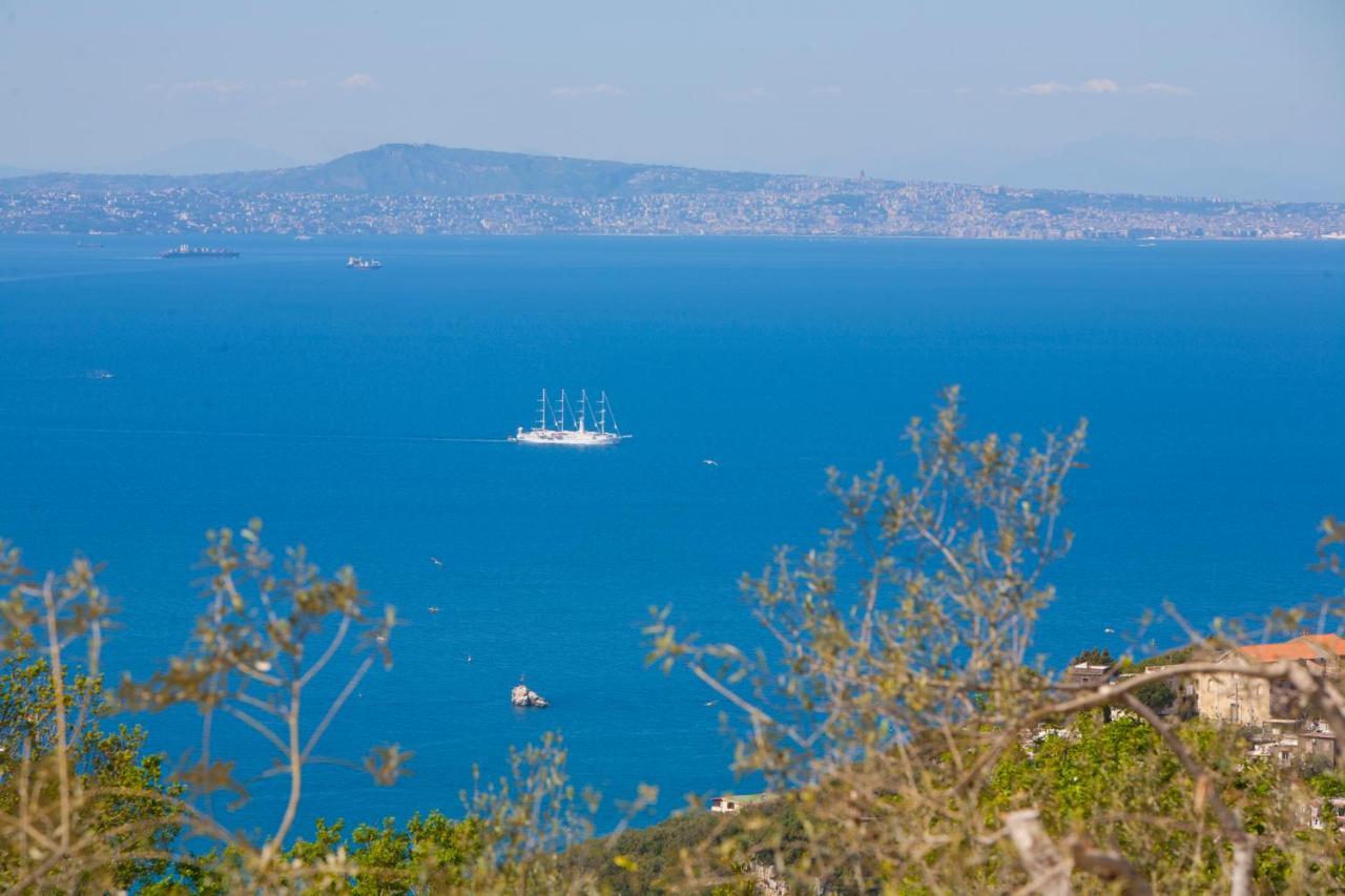 Villa Venus in Penisola Sorrentina Massa Lubrense Esterno foto