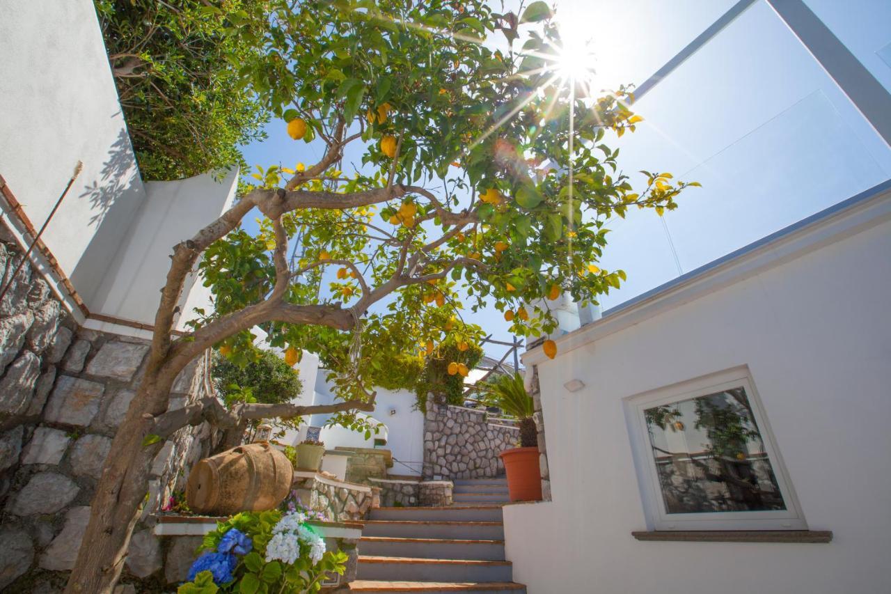 Villa Venus in Penisola Sorrentina Massa Lubrense Esterno foto