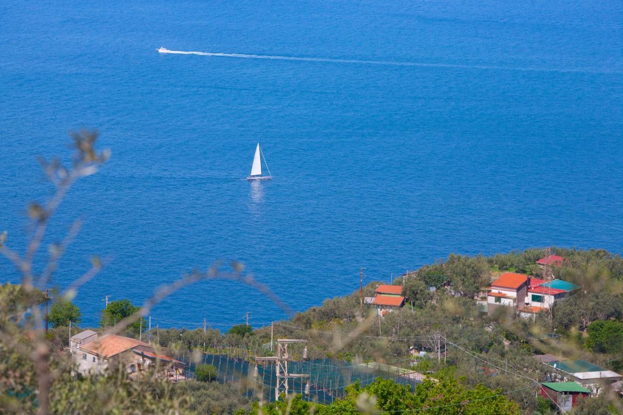 Villa Venus in Penisola Sorrentina Massa Lubrense Esterno foto