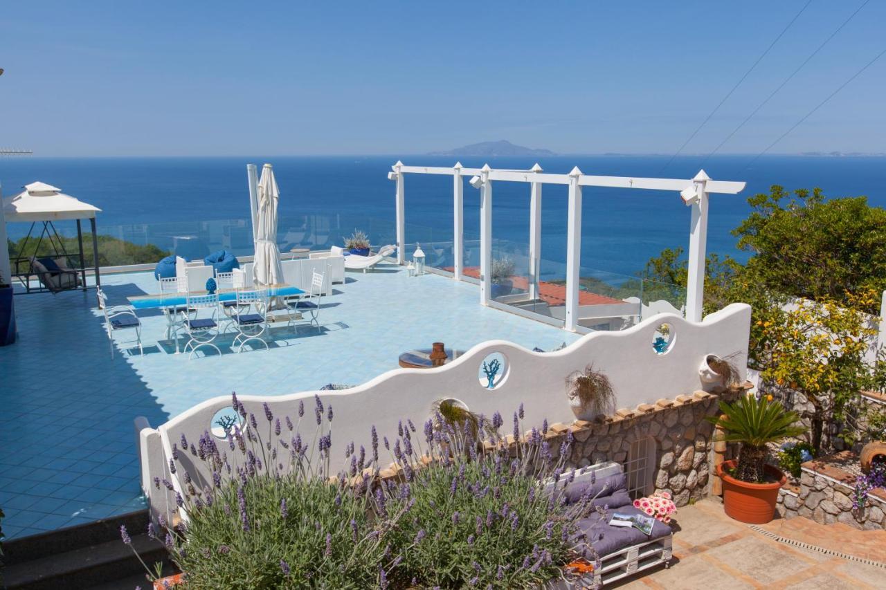 Villa Venus in Penisola Sorrentina Massa Lubrense Esterno foto